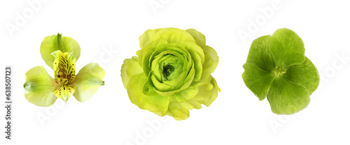Set of different green flow...
