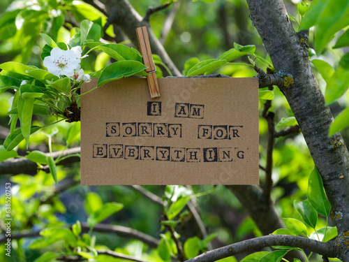 Piece of cardboard with words I am Sorry for Everything on it hanging on a pear tree branch with blossoms and leaves using a wooden clothespin. © rosinka79