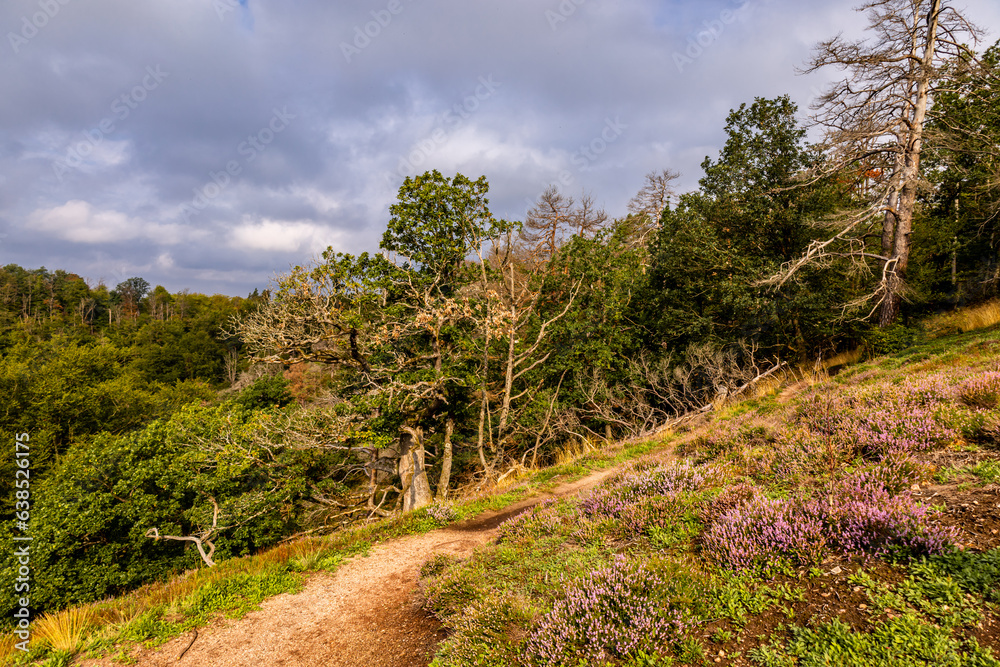 Sommerwanderung durch die Drachenschlucht in der Nähe von Eisenach - Thüringen - Deutschland Sommerwanderung durch die Drachenschlucht in der Nähe von Eisenach - Thüringen - Deutschland