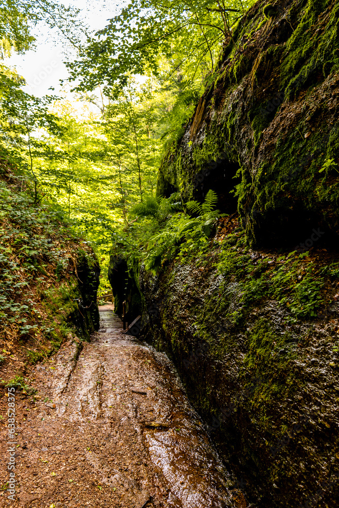Fototapeta premium Sommerwanderung durch die Drachenschlucht in der Nähe von Eisenach - Thüringen - Deutschland