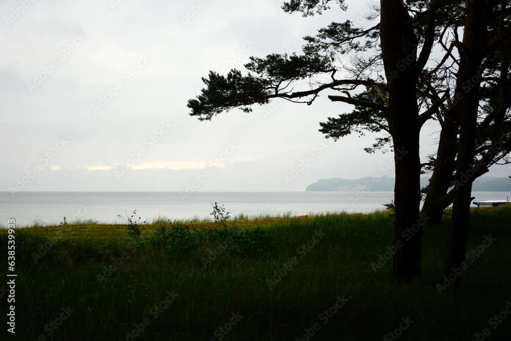 Contours of pine trees on the northern shore of the sea. The sky is cloudy on the horizon