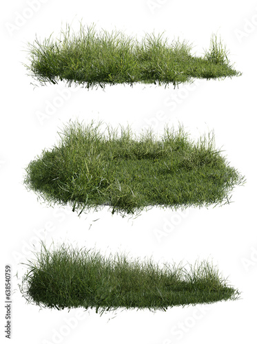 tree and grass in transparent background