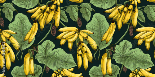 Seamless pattern with illustrated banana tree, plantain leaves. Concept: Vivid island florals.