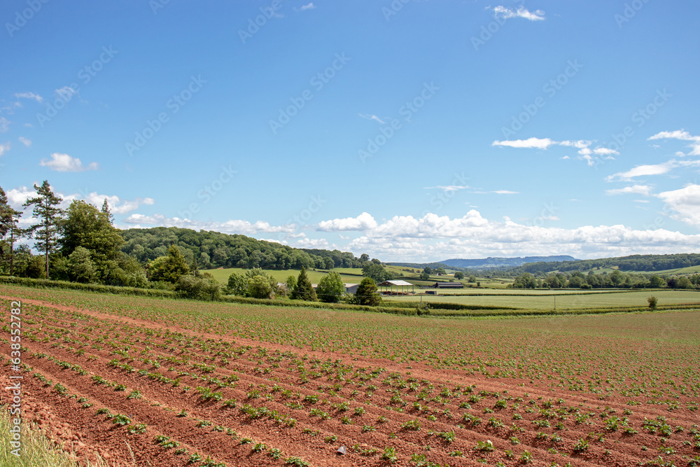 Agricultural landscape in the UK Agricultural landscape in the UK