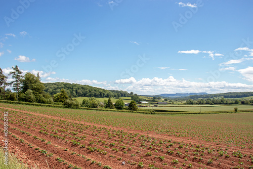 Agricultural landscape in the UK