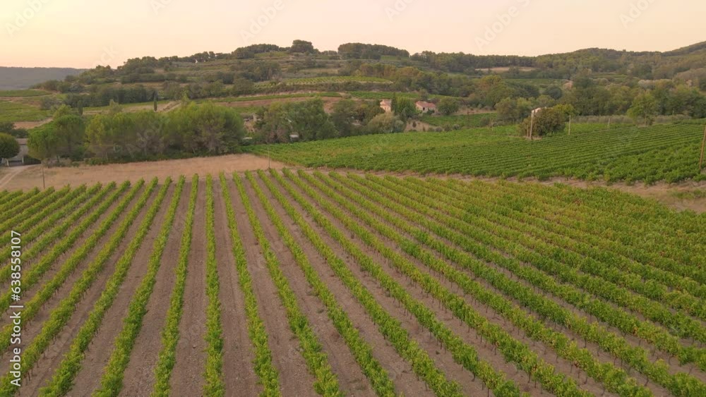 coucher de soleil sur un vignobles dans le Vaucluse coucher de soleil sur un vignobles dans le Vaucluse