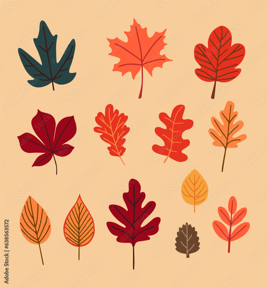 Vector abstract autumn set. Set of autumn decorative elements for your design.Vector illustration.