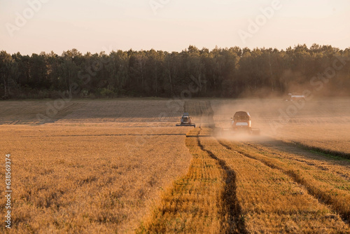 Agricultural machinery. Agricultural industry. The combine harvester removes ears of ripe wheat against the background of a ripening field. The concept of planting and harvesting a rich harvest. 