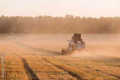 Agricultural machinery. Agricultural industry. The combine harvester removes  ears of ripe wheat against the background of a ripening field. The concept of planting and harvesting a rich harvest.  © Юлия Клюева