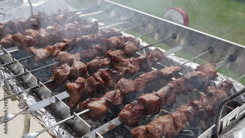 Fried shish kebab on an electric grill, close-up