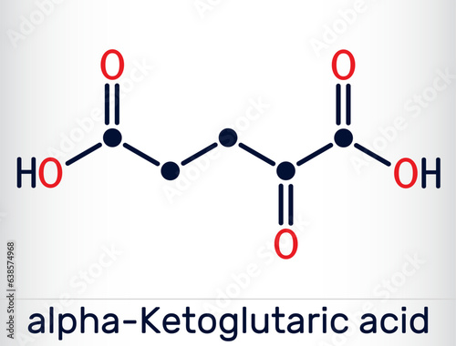 Alpha-ketoglutaric acid, 2-oxoglutaric acid, oxoglutarate, alpha ketoglutarate  molecule. It is intermediate metabolite in Krebs cycle. Skeletal chemical formula. Vector photo