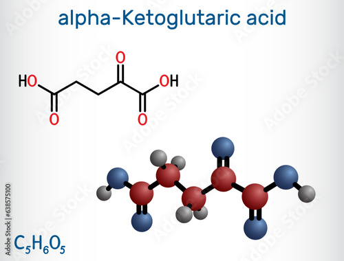 Alpha-ketoglutaric acid, 2-oxoglutaric acid, oxoglutarate, alpha ketoglutarate  molecule. It is intermediate metabolite in Krebs cycle. Structural chemical formula, molecule model. Vector photo