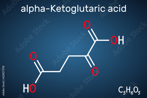 Alpha-ketoglutaric acid, 2-oxoglutaric acid, oxoglutarate, alpha ketoglutarate  molecule. It is intermediate metabolite in Krebs cycle. Structural chemical formula on the dark blue background. Vector photo