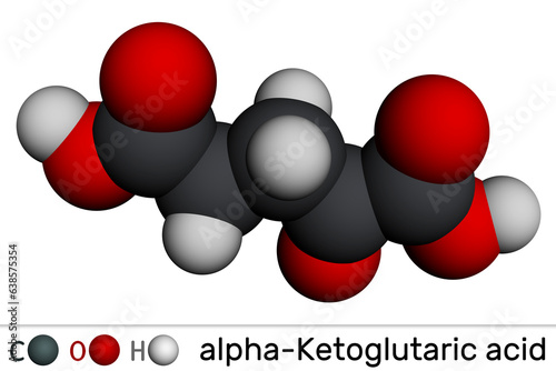 Alpha-ketoglutaric acid, 2-oxoglutaric acid, oxoglutarate, alpha ketoglutarate  molecule. It is intermediate metabolite in Krebs cycle. Molecular model. 3D rendering. photo