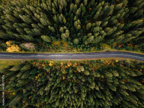 Aerial view of winding gravel road and colourful forest in autumn
 photo