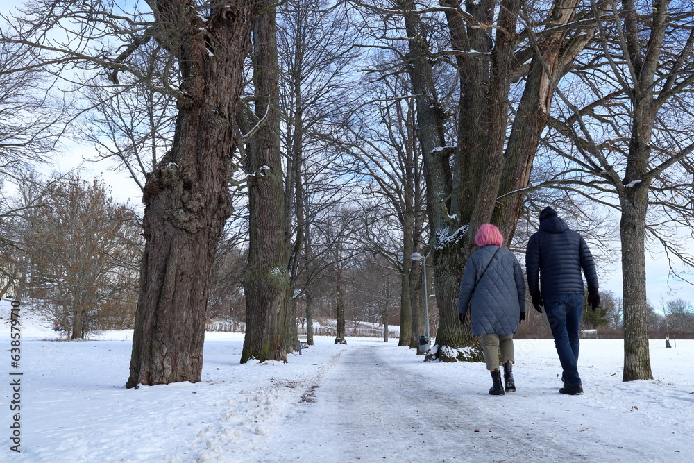 Winter landscape. Couple walking. Woman with pink hair.