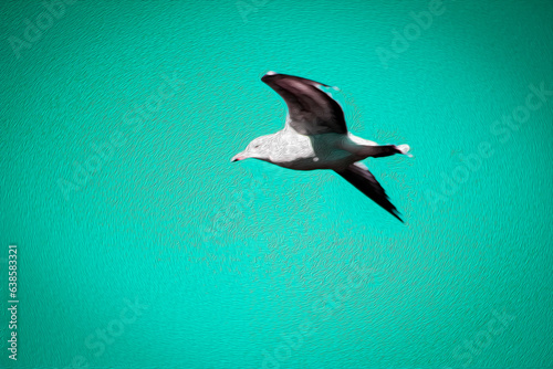 FILTERED PHOTO-Seagull Soaring in the Sky - Border, Background, Backdrop, Design, Flier, Poster, Ad, Advertisement, Bird Watching Club, Social Club Post, Wildlife club, Invitation, Wallpaper, Publicat