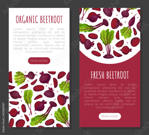 Beetroot Vegetable Crop Banner Design Design Vector Template