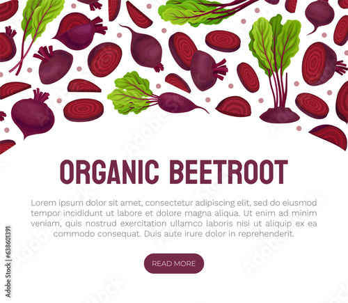 Beetroot Vegetable Crop Banner Design Design Vector Template