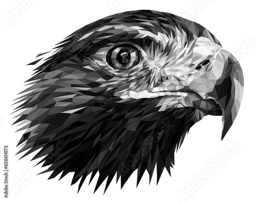 Low poly monochrome, black and white portrait of a golden eagle isolated on background. Illustration. png photo