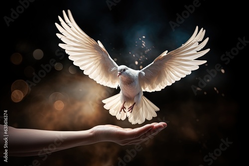 Hand and flying white dove. photo