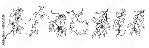 Set of botanical linear sketches of various branches with leaves  herbs.Vector graphics.