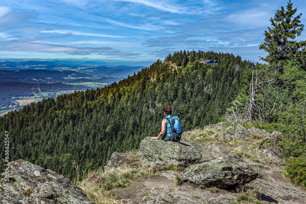 Fototapeta premium Wandern im Bayerischen Wald