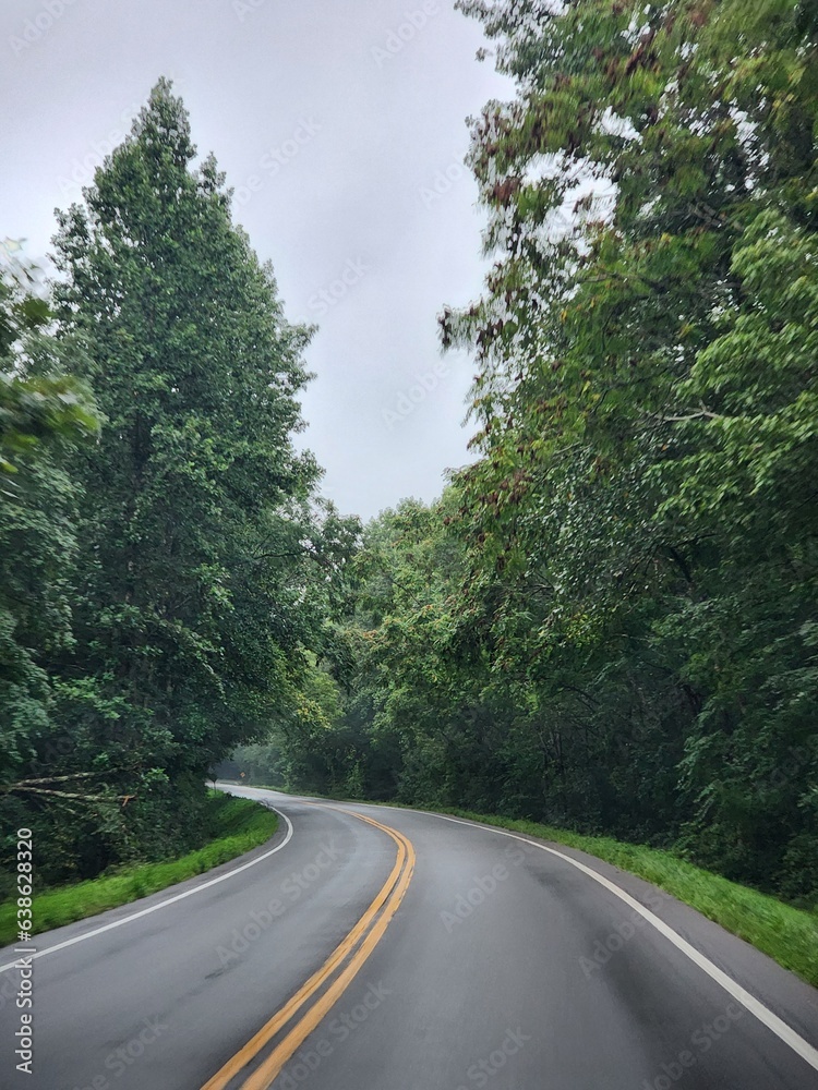 Driving through the Smoky Mountains 