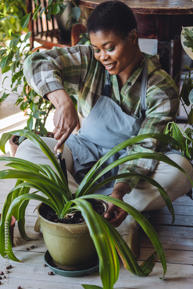 Obraz premium Beautiful smiling plus size African American woman with short hair is doing home gardening at home, repotting, taking care about plants. Concept of wellbeing, work life balance, simple pleasures