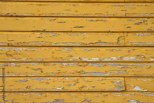 Wallpaper Mural A wooden wall painted with yellow paint as a background. Torontodigital.ca