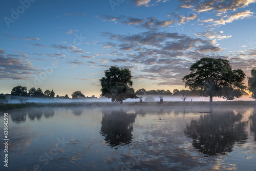 ghostly mist hovering over ponds at Bushy Park © Kevin