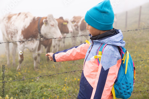 Obraz na plátne A girl in bright clothes stands with a flower in her hands near domestic cows gr
