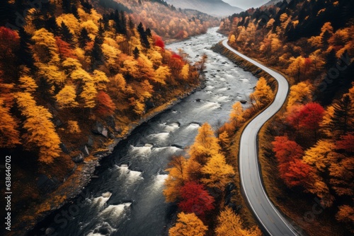 Aerial view of winding mountain road inside colorful autumn forest. Generative AI © bluebeat76