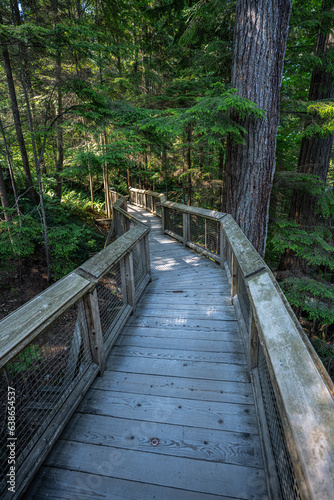 Walkway in the Capilano Suspension Bridge Park in Vancouver  Canada