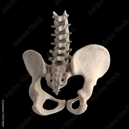Posterior pelvic spine region on black background