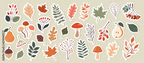 Autumn botanical vector sticker set