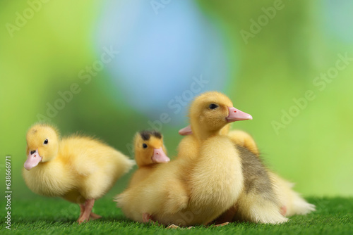 Cute fluffy ducklings on artificial grass against blurred background, closeup. Baby animals