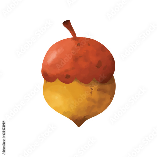 hand drawn cute autumn nut. watercolor illustration