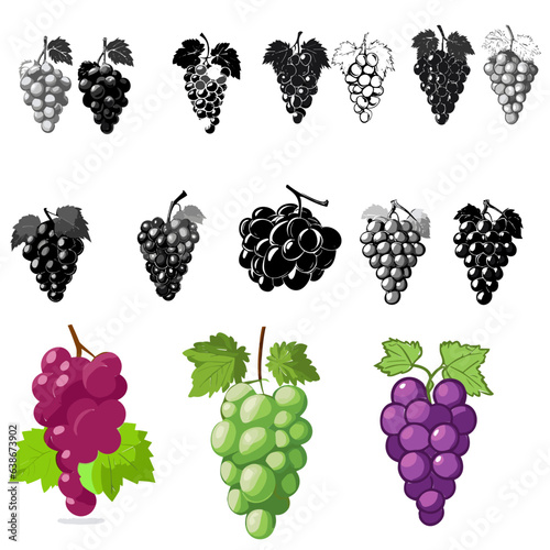 Different wine grapes. Green grapes, black and red pink muscatel grape banches 3d vector icon set.