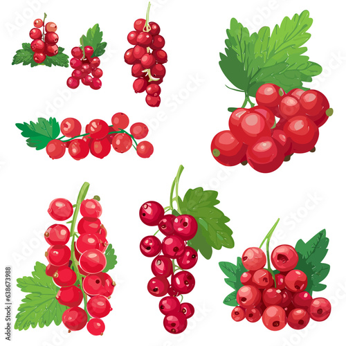 Canvas Print Red currant berries