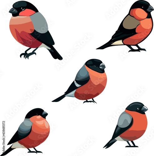 City birds icons set. Bullfinch Birds in different poses isolated on white background. Vector illustration.