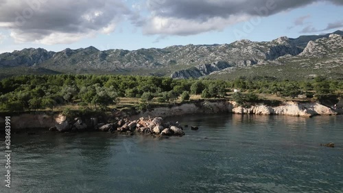 beatiful stone coast of an ocean with big mountains in the background on goldon hour photo