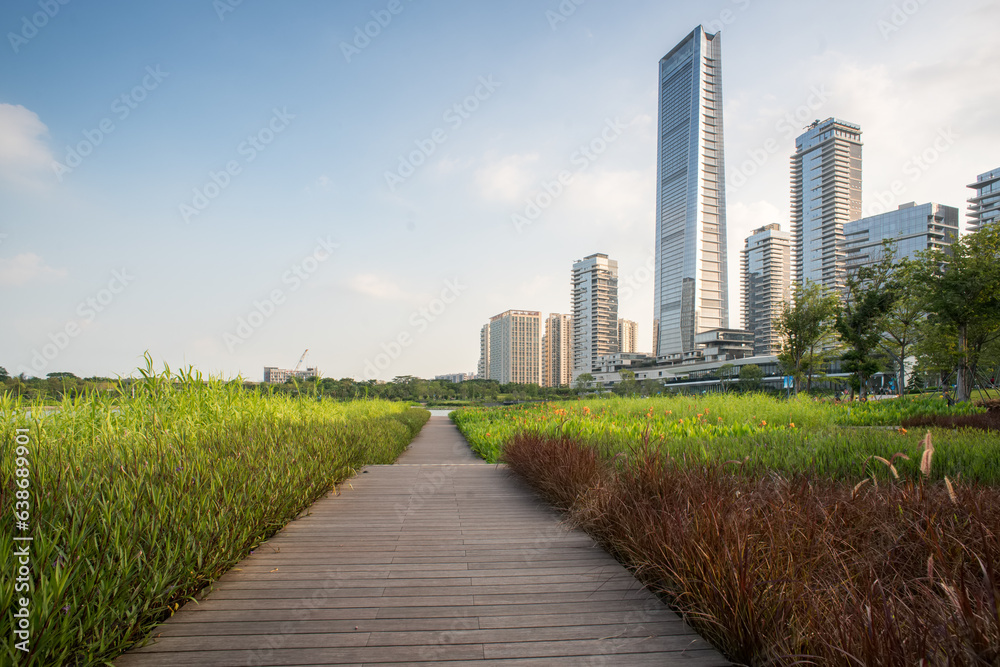 Downtown Shenzhen skyline