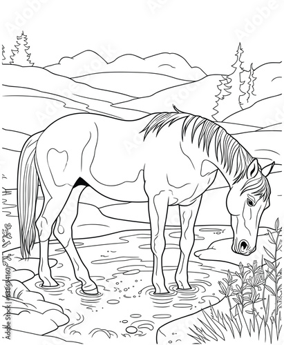 beautiful horse coloring pages