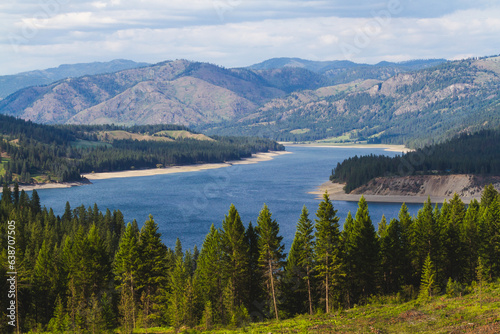 Tranquil Pine Woodland by Lake Roosevelt on the Columbia River in Washington State