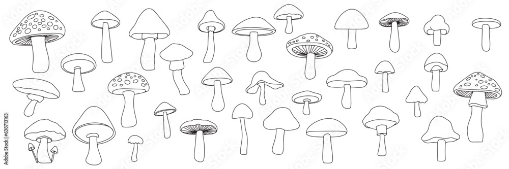 Mushrooms set in doodle style. Collection of hand drawn mushrooms outline isolated on white background. Vector illustration.