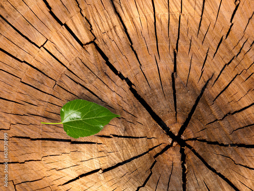 old wood background, dark wooden abstract texture photo