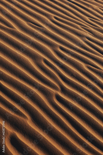 Detail of patterns made by lines in sand dunes vertical
