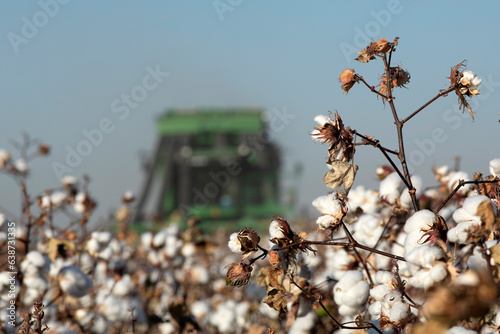 Konstfotografi Cotton being harvested by machine out of focus