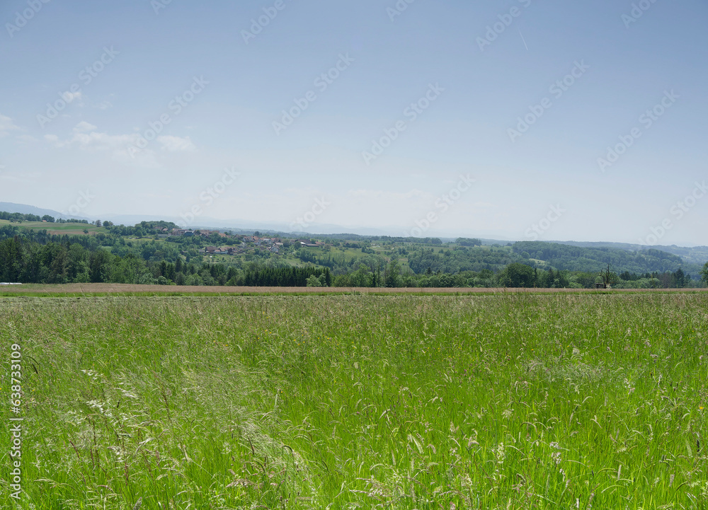 Obraz premium Schwarzwaldlandschaft. Wanderung rund um Raitbach (Schopfheim). Ebene und den Feldern zwischen Raitbach und Sattelhofweg. Blick auf das Dorf Kürnberg